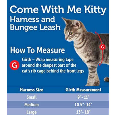 Cat Girth Measurement
